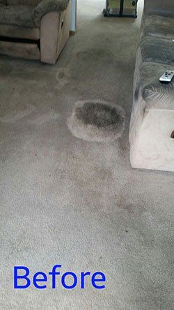 Before Carpet Cleaning – Janitorial Services in Pueblo, CO