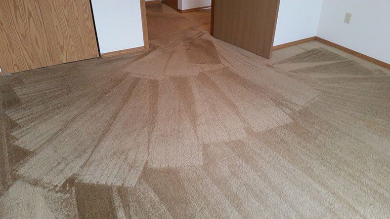 Clean Carpet – Janitorial Services in Pueblo, CO