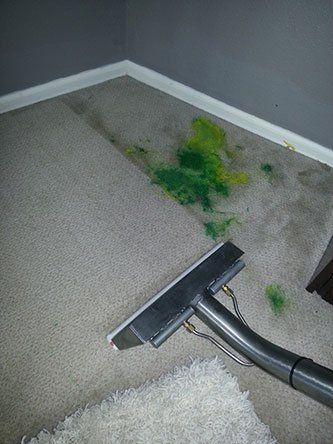 Cleaning Mold – Janitorial Services in Pueblo, CO