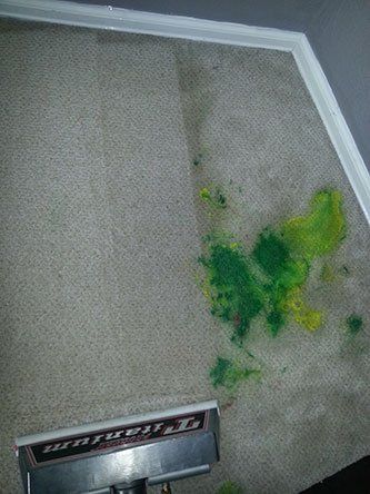Cleaning Carpet Mold – Janitorial Services in Pueblo, CO