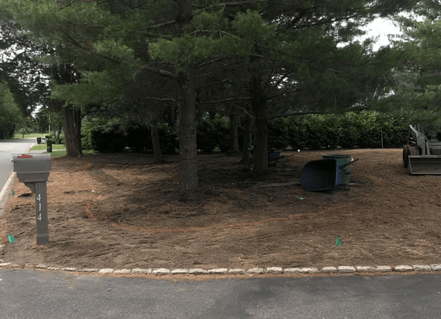 Fixing a Landscape with Trees — New Jersey — SteepleChase Complete Turf & Irrigation Fixing a Landscape with Trees — New Jersey — SteepleChase Complete Turf & Irrigation