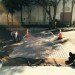 Decorative Asphalt