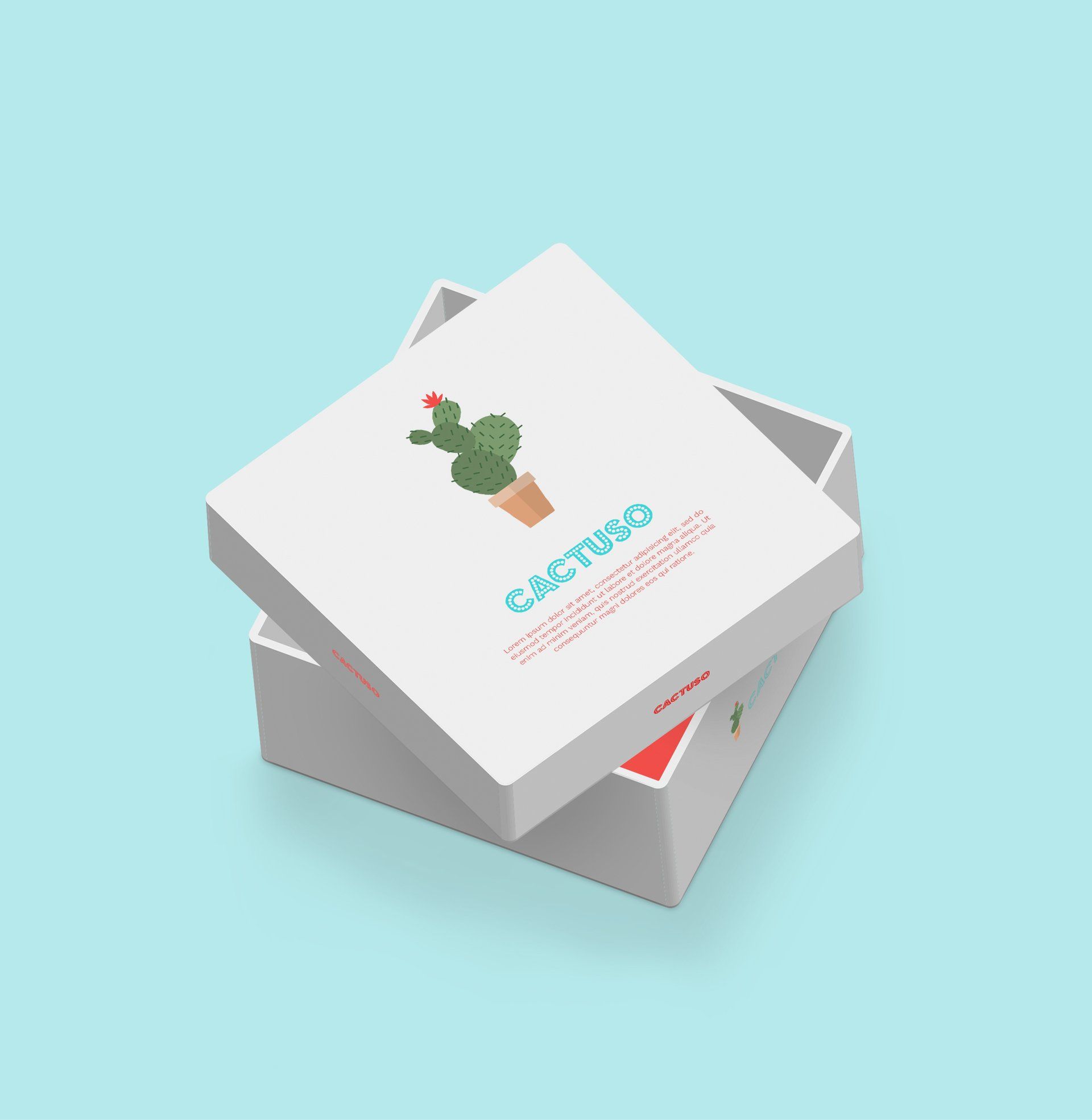 White gift box with a small cactus illustration on a light blue background