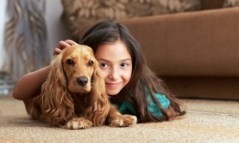 Clean Home — Harvey, LA — O’Brien’s Cleaning & Restoration Clean Home — Harvey, LA — O’Brien’s Cleaning & Restoration