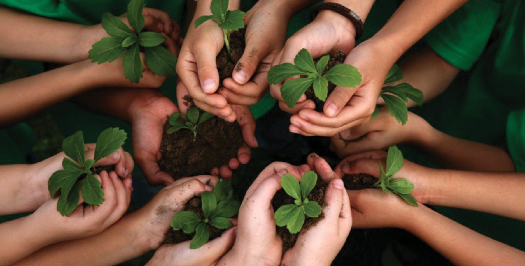 Whitehead one of six schools in Farm to Fork pilot program