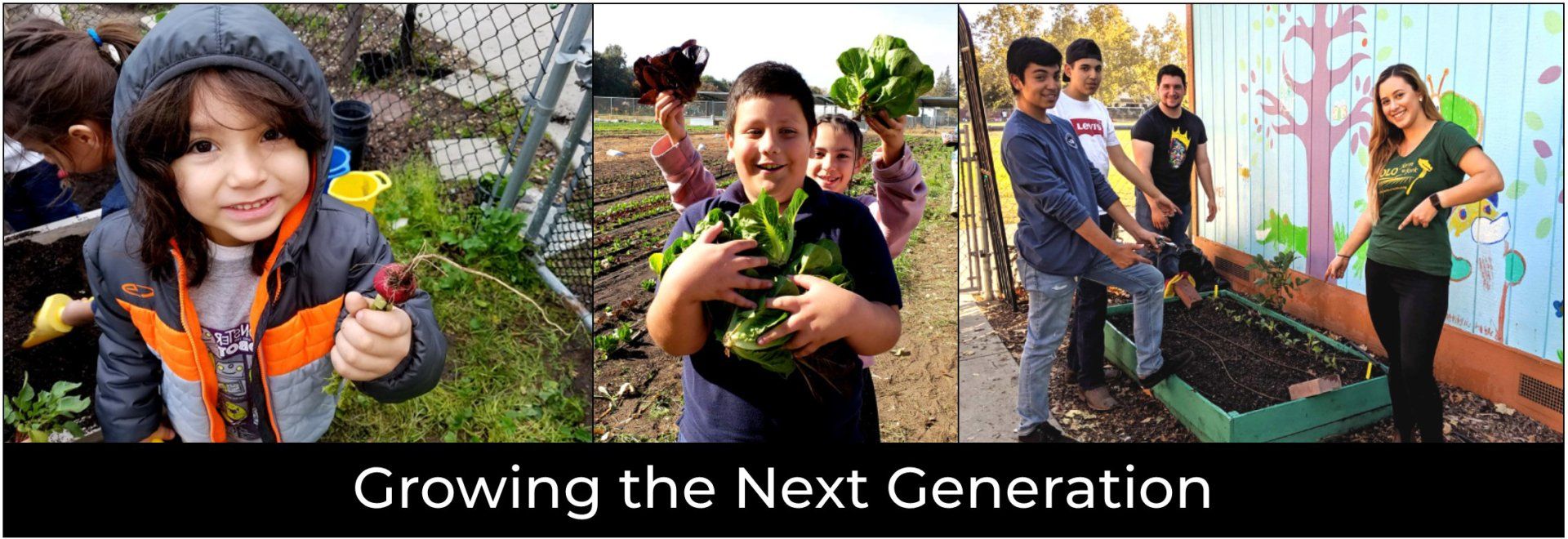 Growing the Next Generation