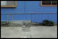 sewer repair2