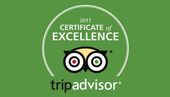 trip advisor