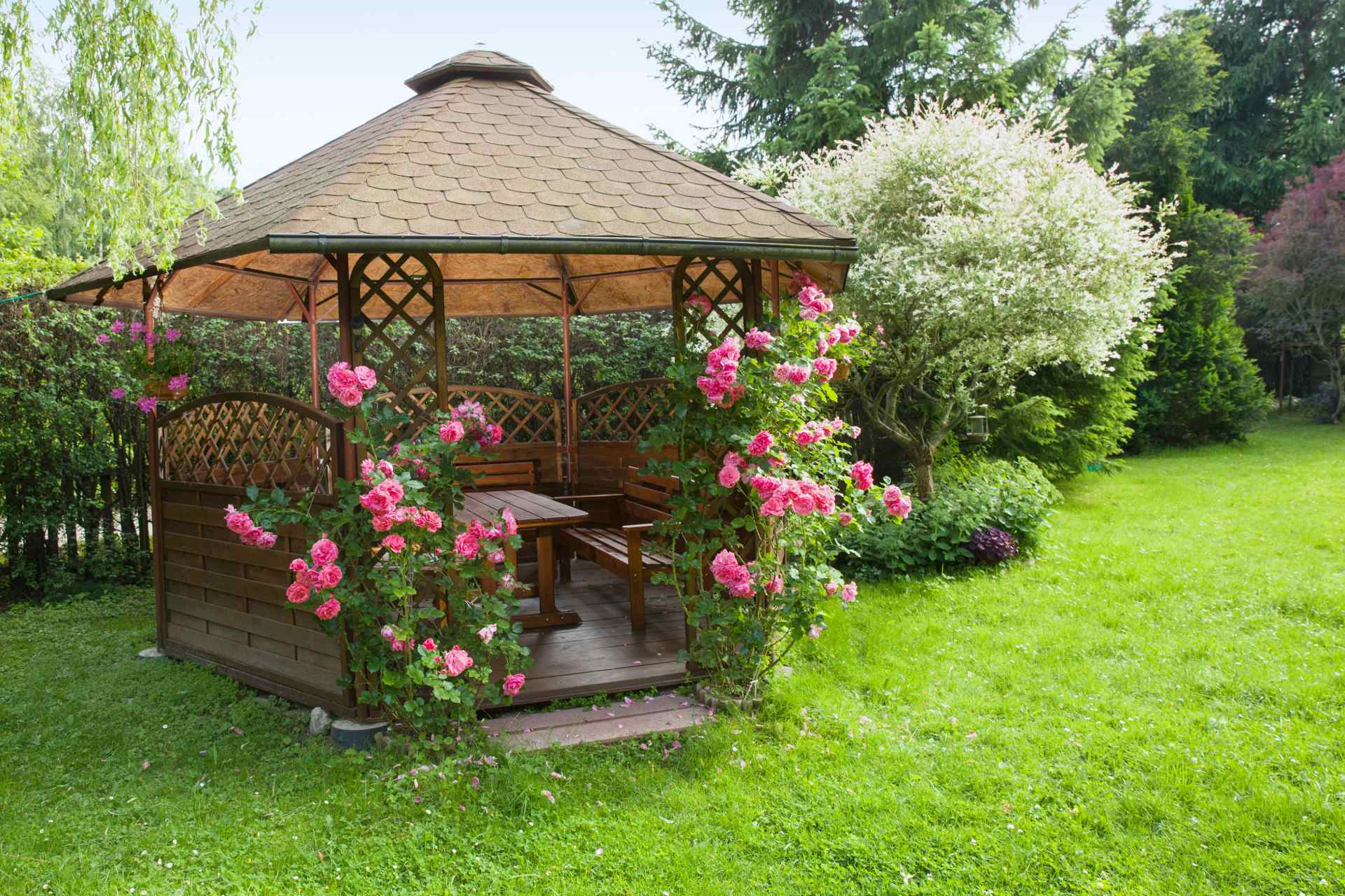 pergola