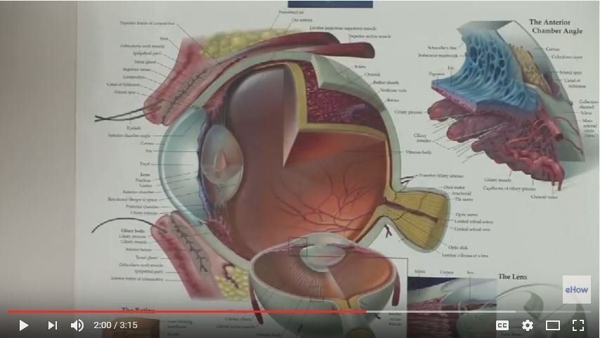 Diabetes and your eyes