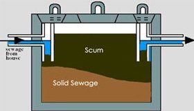 Septic System Maintenance — Unhealthy Tank in Stevens Point, Wisconsin Septic System Maintenance — Unhealthy Tank in Stevens Point, Wisconsin