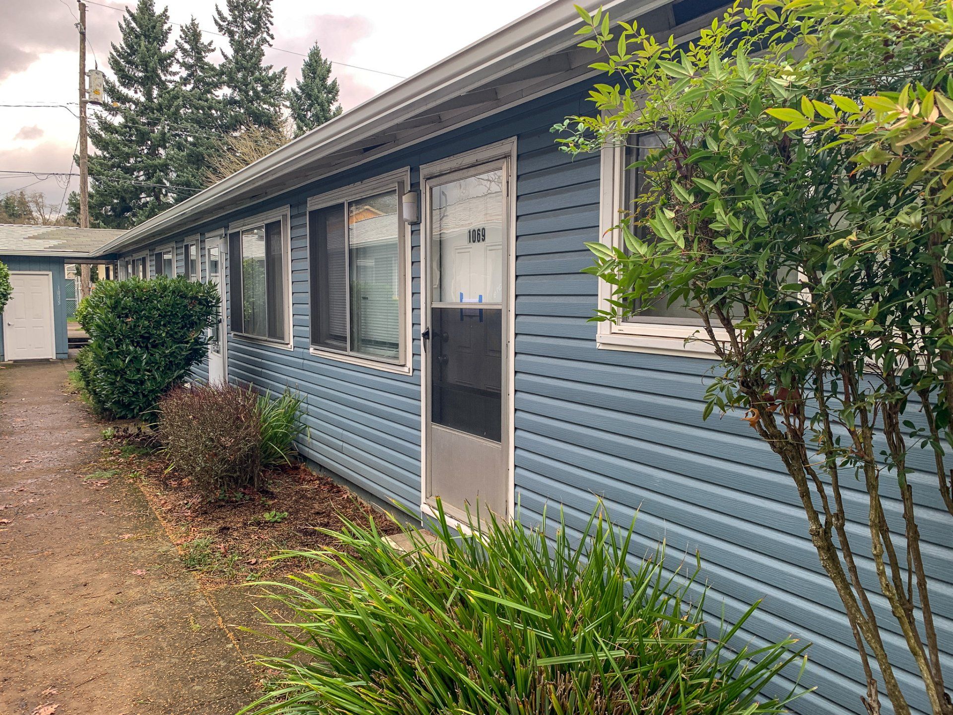 A blue house with a screen door and a bush in front of it.