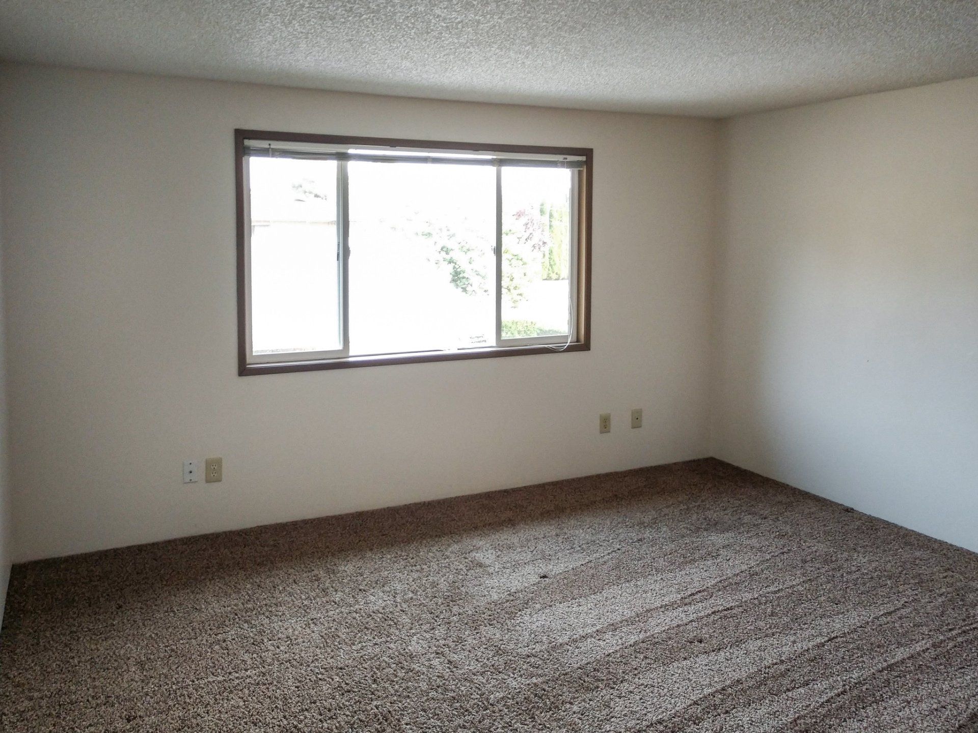 An empty room with a window and a carpeted floor