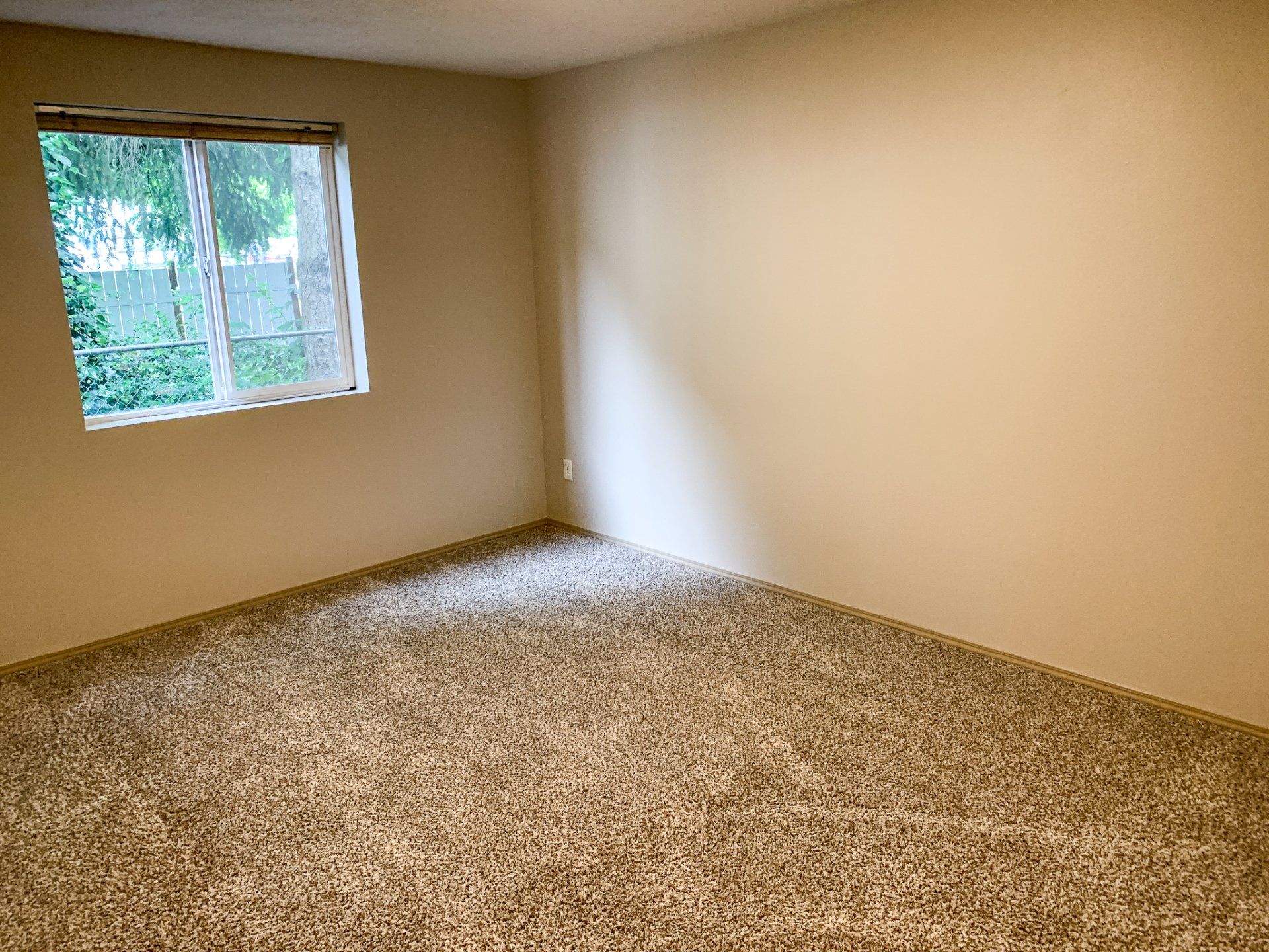 An empty room with a window and a carpeted floor.