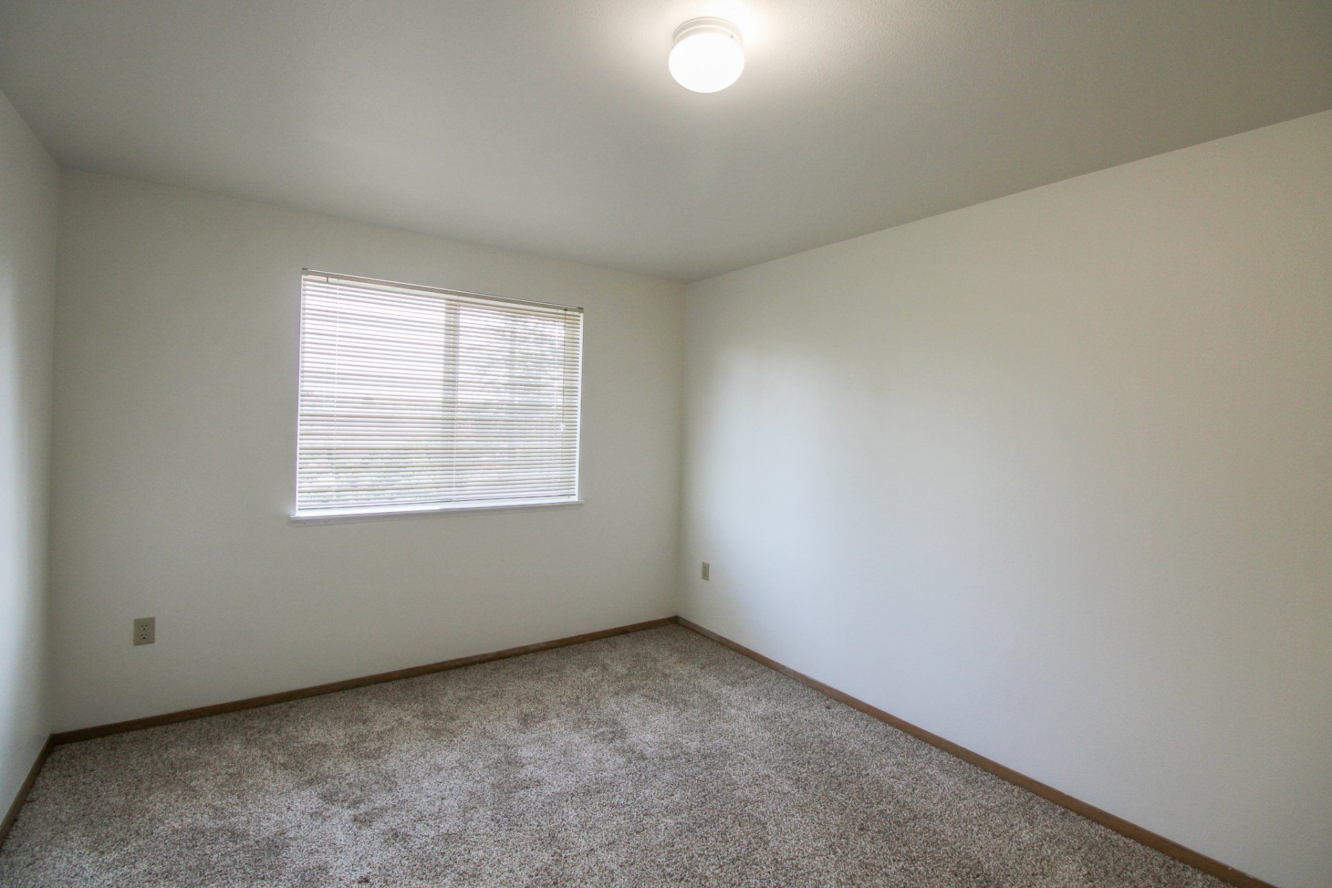 An empty bedroom with a window and carpet.