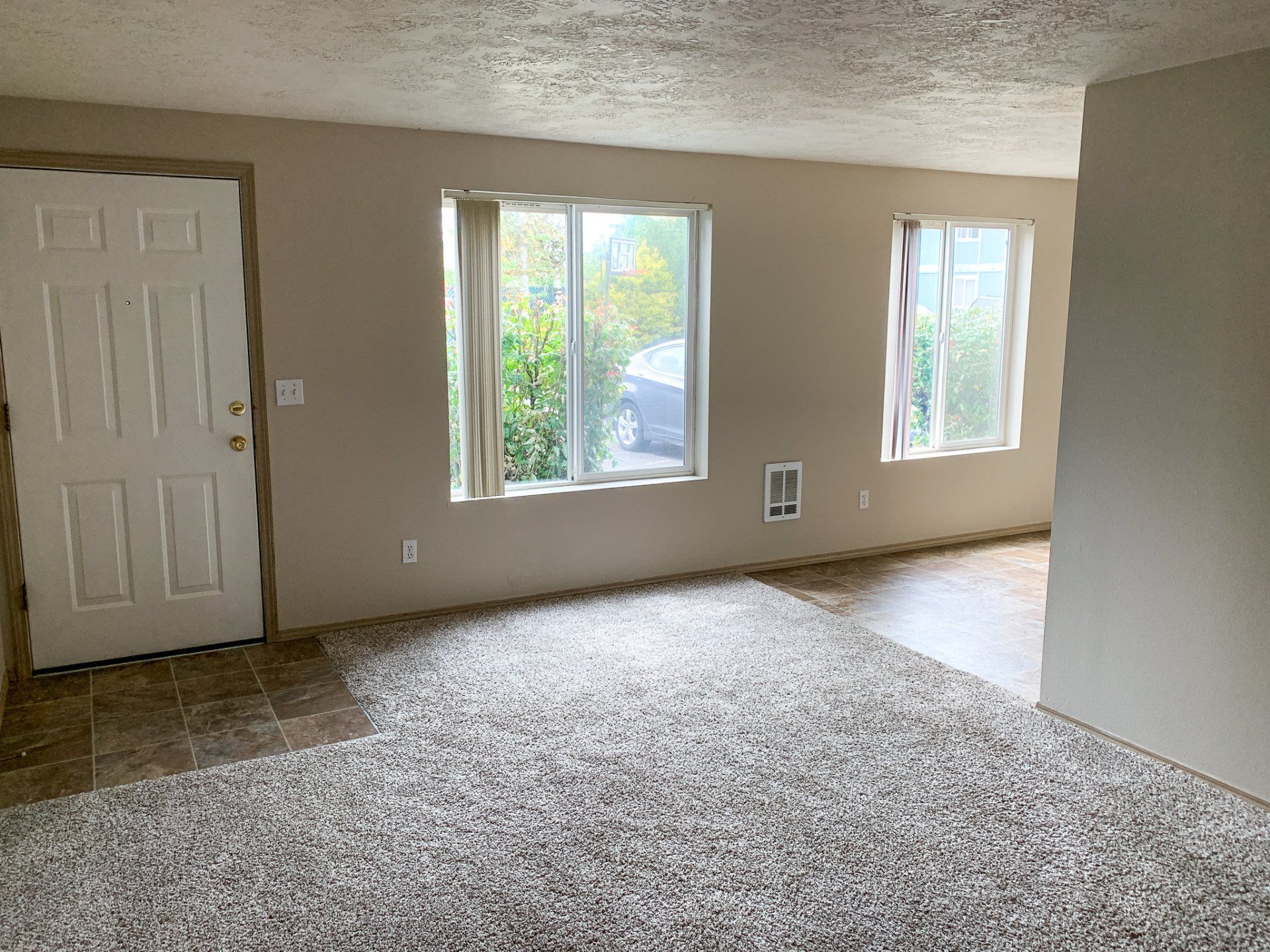 An empty living room with a carpeted floor and two windows.