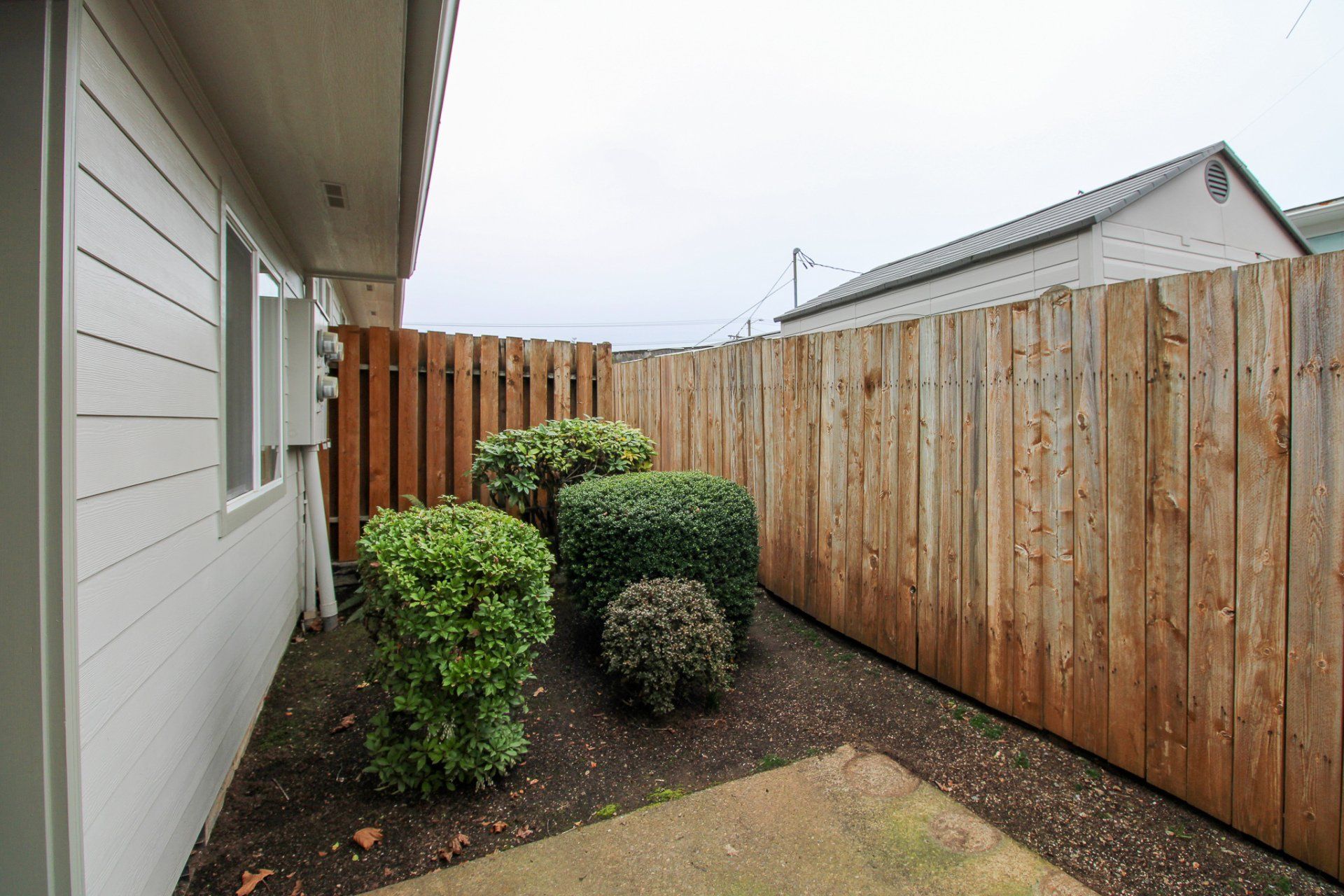 The backyard of a house with a wooden fence and bushes.