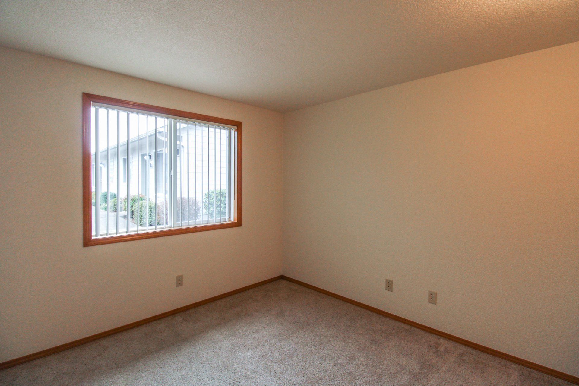 An empty bedroom with a large window and a carpeted floor.