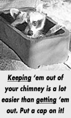 Chimney Sweeps Bradford, PA