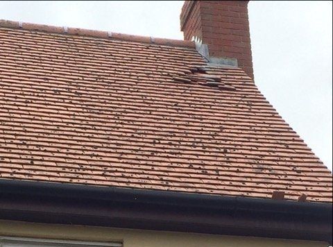 Before Roof Repair
