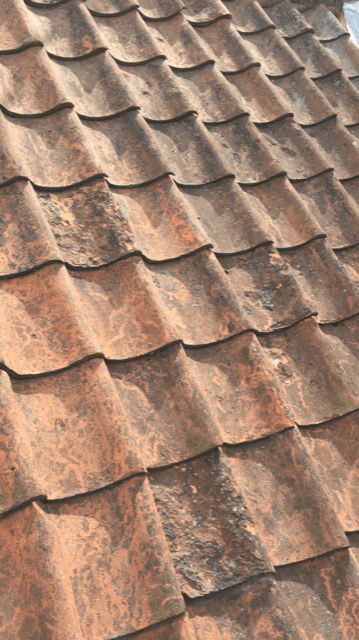 Slipped Tile Repair