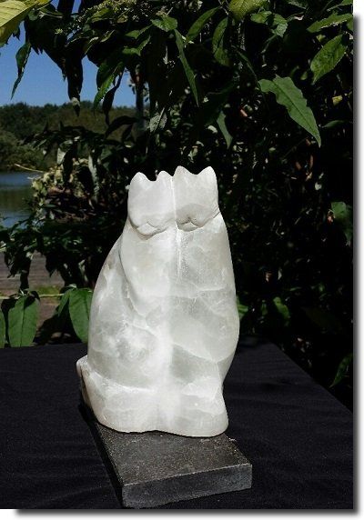 beeld poezen