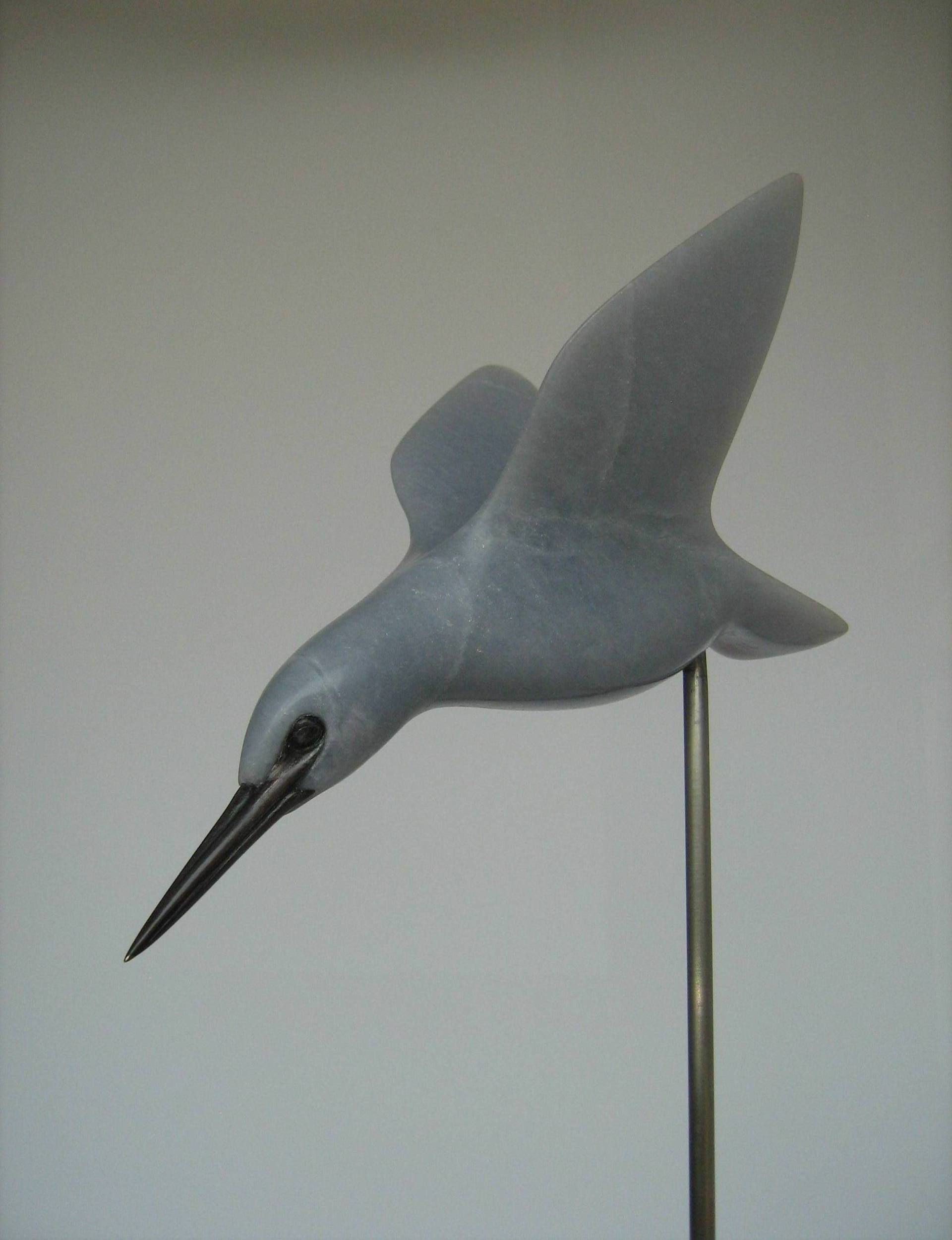 Beeld ijsvogel