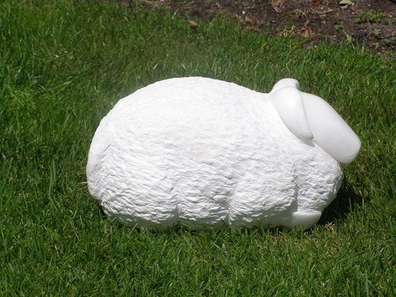 beeld schaap