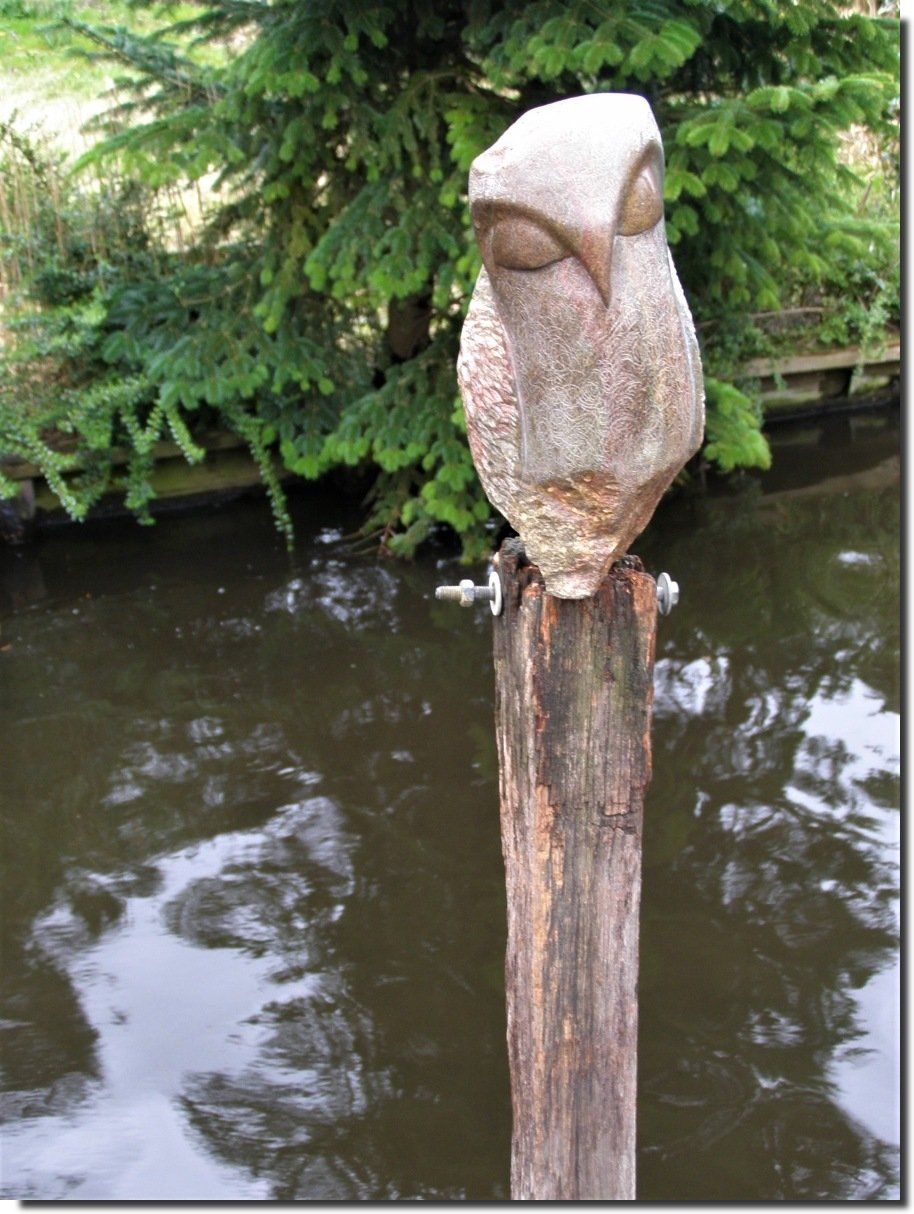 Beeld uil