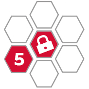 Logo DSGVO 5