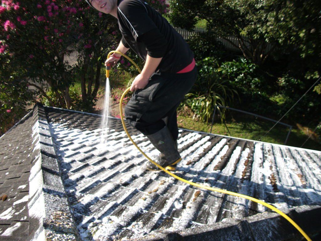 roof maintenance and cleaning in Wellington