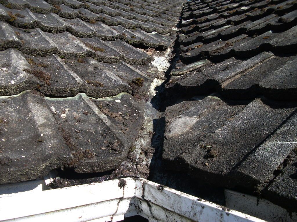 roof