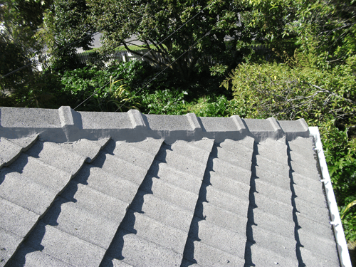 Nicely painted roof