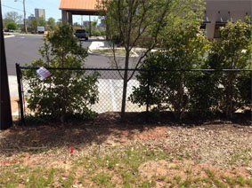Residential Area Chain-link Fence — Greenville, SC — Pioneer Fence in Greenville