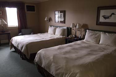 The Osprey Queen Beds