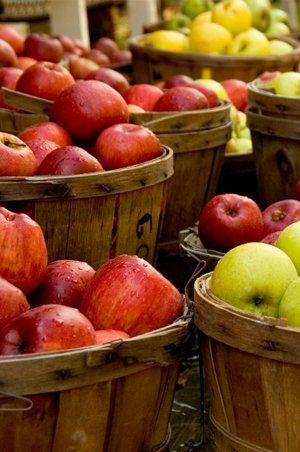 Autumn apple harvest Farmers Markets in Northern Vermont