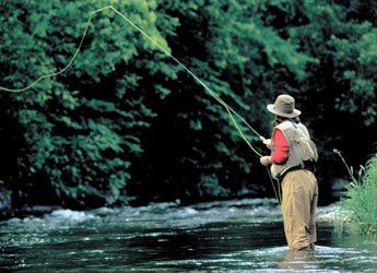 Fly Fishing on the Willoughby River in Vermont Fly Fishing on the Willoughby River in Vermont