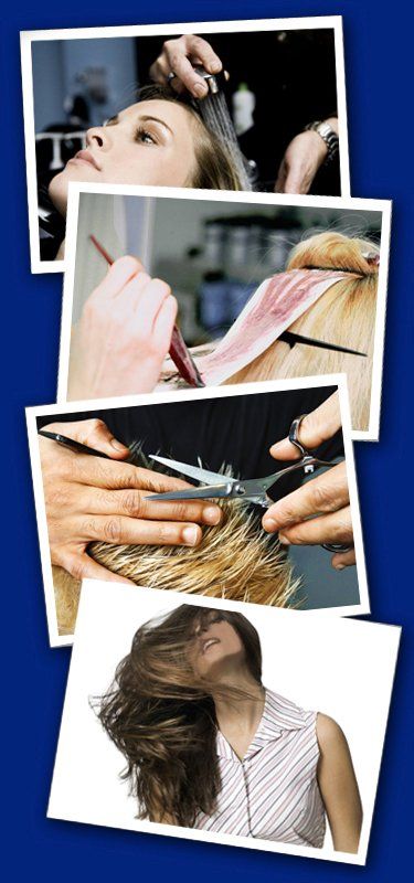 With everything from a basic cut to color, extensions, and straightening, George Oliveri Salon has everything to give you any style you desire. With everything from a basic cut to color, extensions, and straightening, George Oliveri Salon has everything to give you any style you desire.