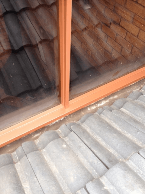 new form windows