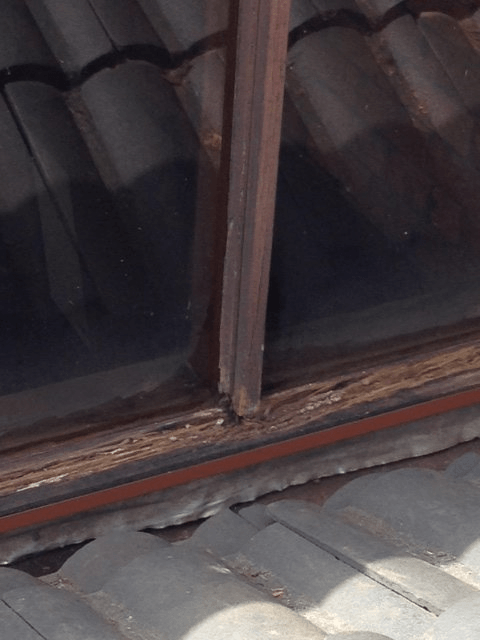 new form windows