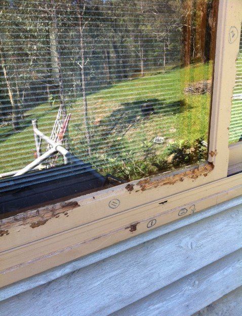 new form windows