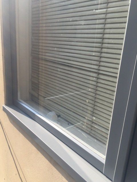 new form windows