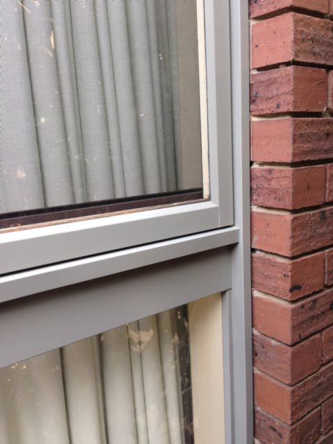 new form windows