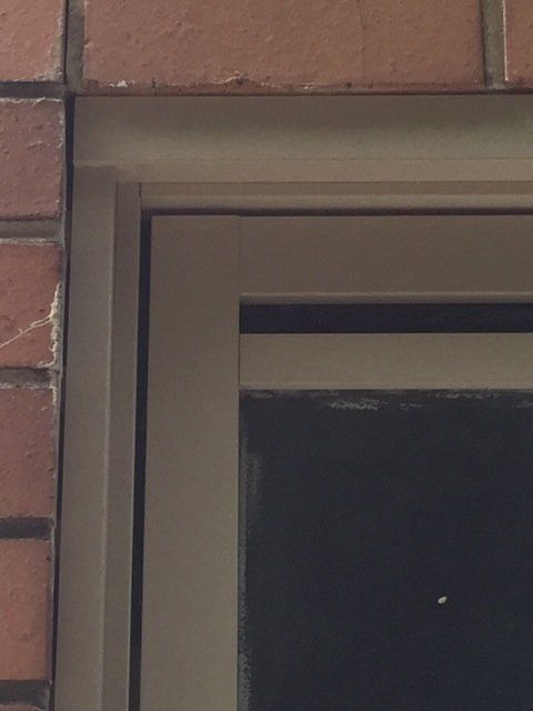 new form windows