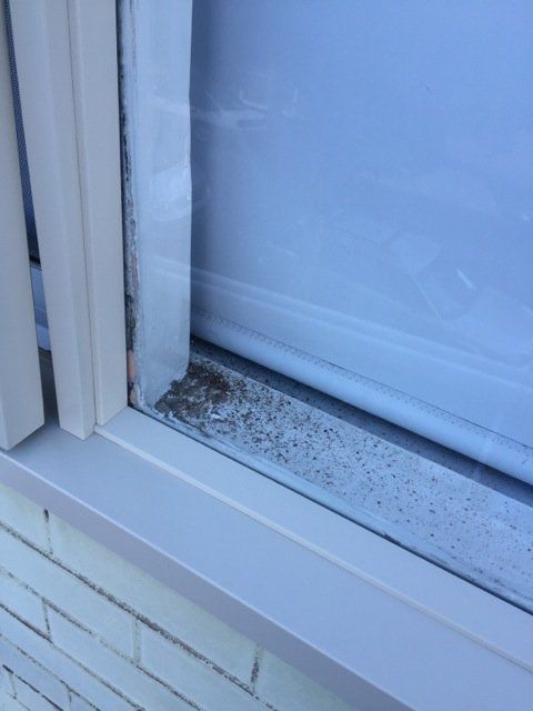 new form windows