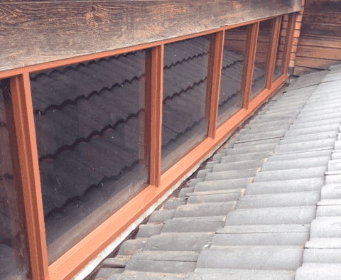 new form windows