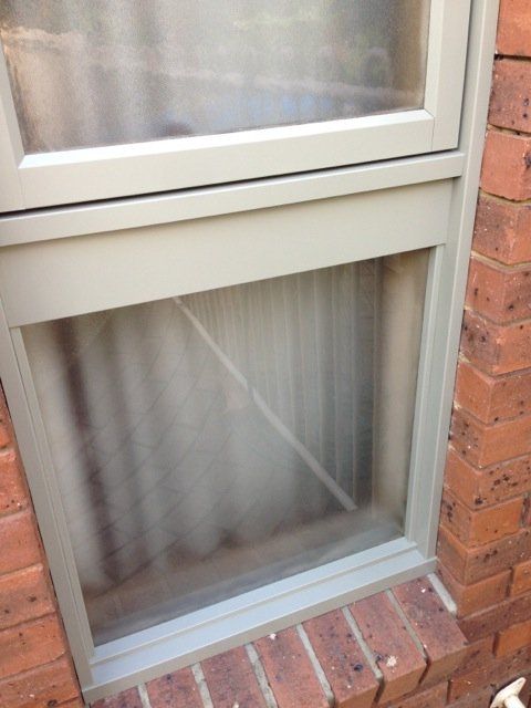 new form windows