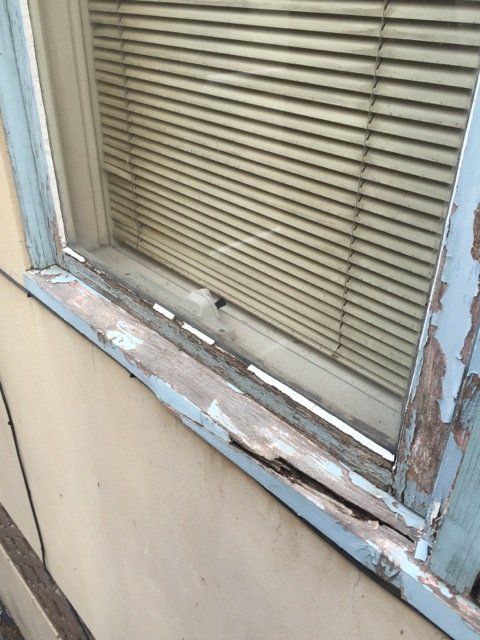 new form windows