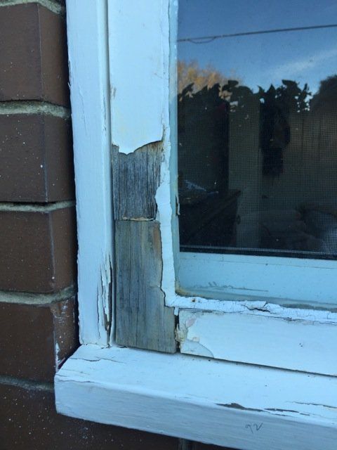 new form windows