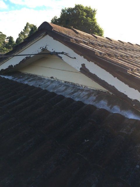 Gables and Fascias